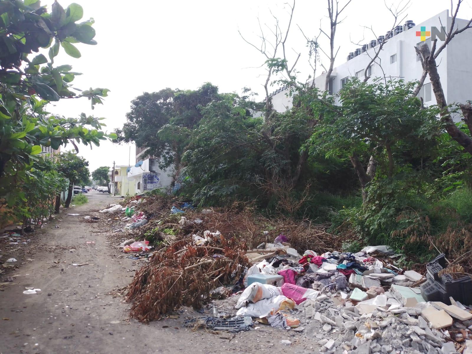 Piden atender problema de basura en avenida Galeana del fraccionamiento Los Pinos