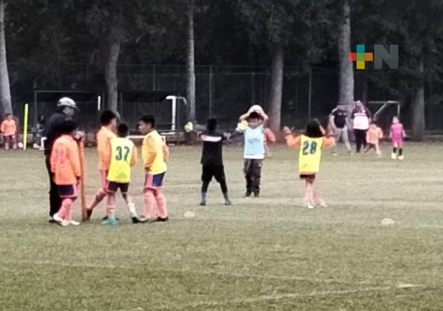 Delfines de Xalapa Sub-15 es campeón invicto en la Liga Elite