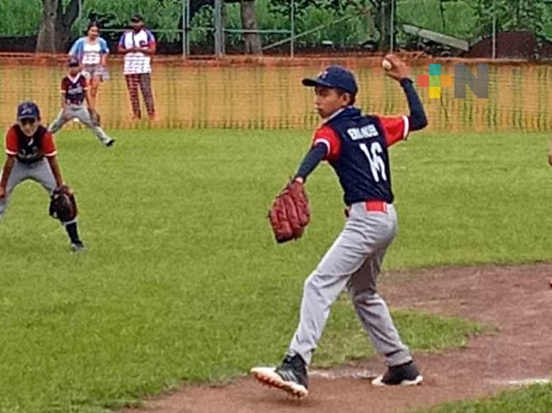 Participan casi mil beisbolistas en la Liga infantil xalapeña