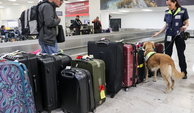 Emite Agricultura recomendaciones a vacacionistas sobre movilización e ingreso de alimentos