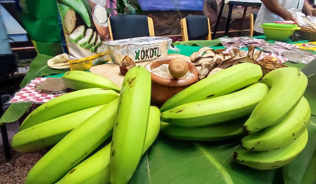 Respalda Agricultura producción de harina de plátano verde panificable