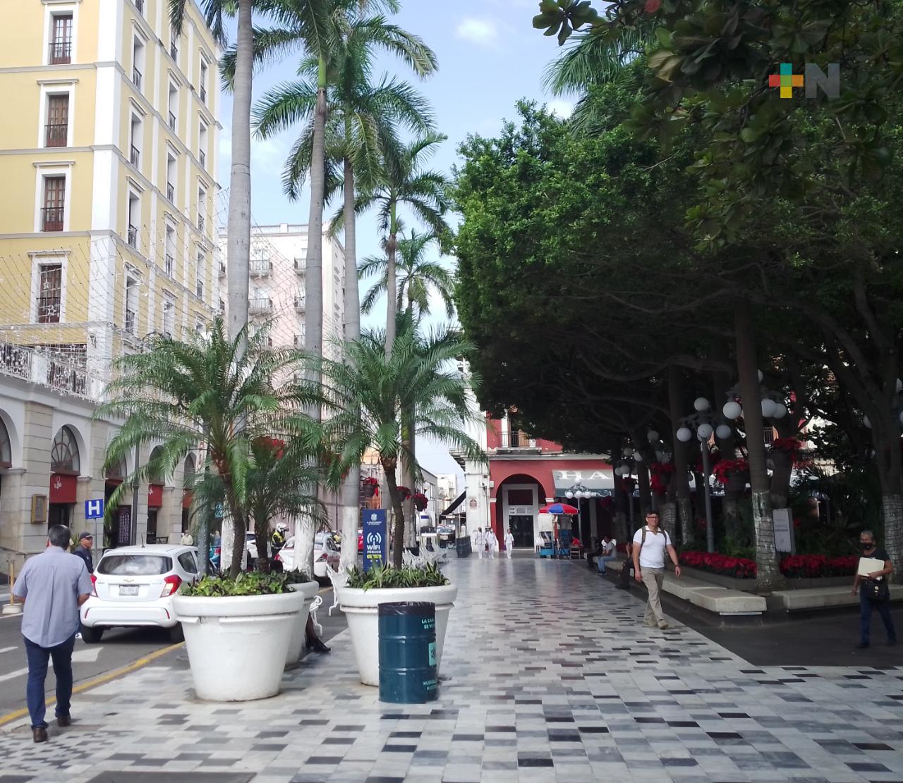 Veracruzanos planean pasar fiestas decembrinas con familiares y sin gastar demasiado