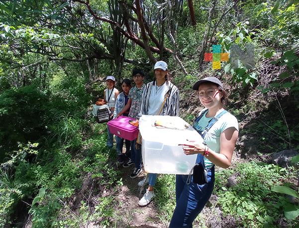 Estudiantes de Biología UV rescatan y liberan fauna silvestre