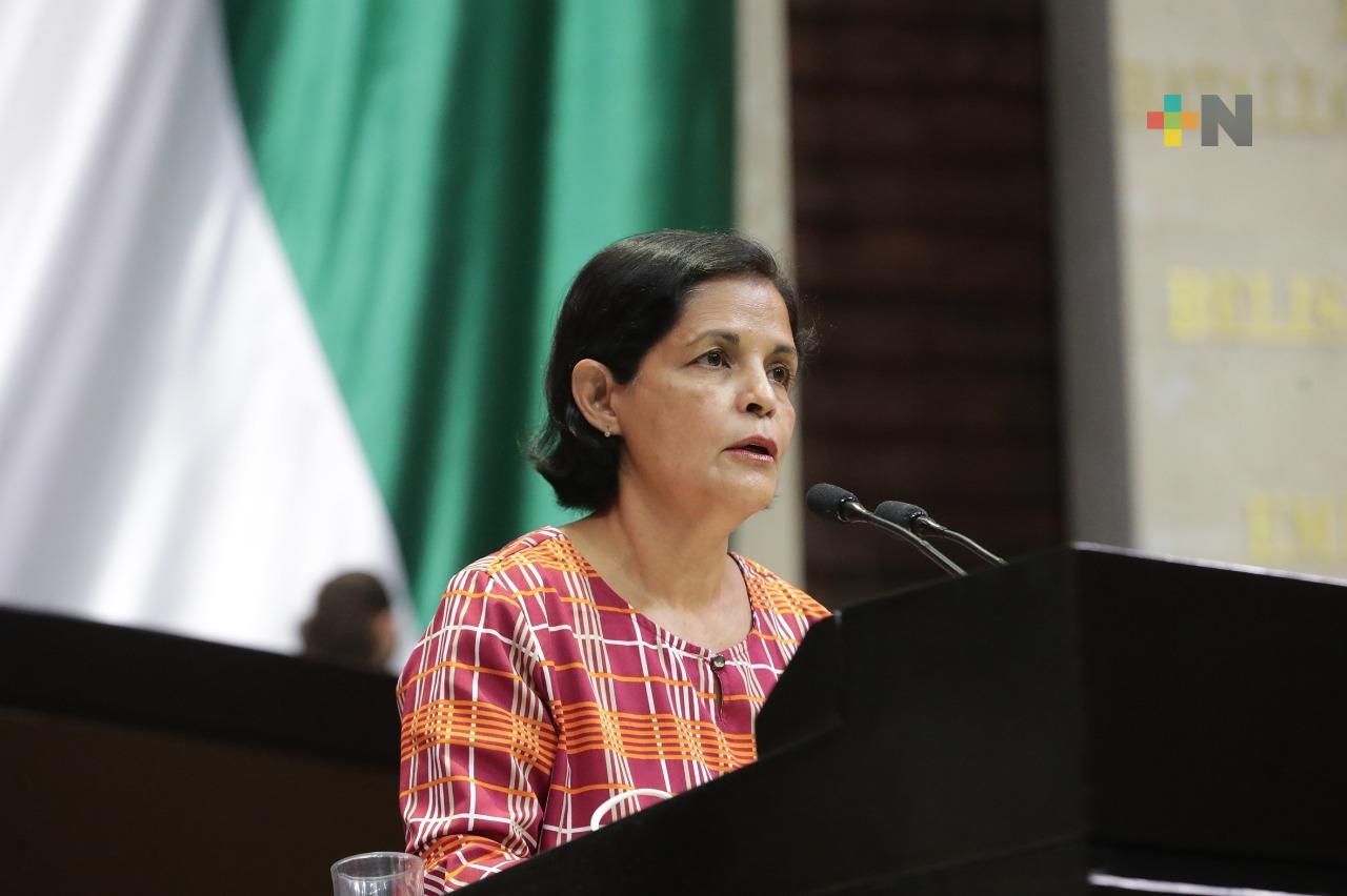 Proponen disminuir la edad para ser diputada o diputado