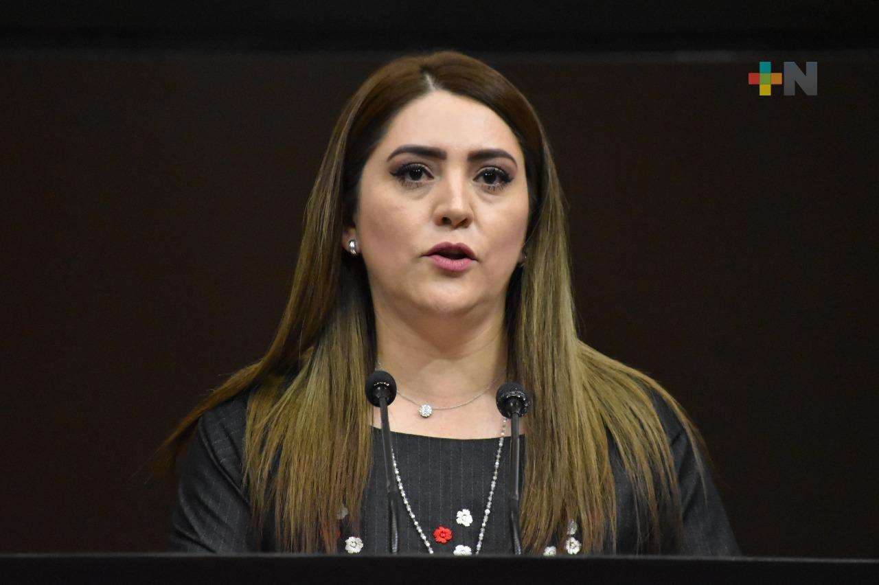 Promueven que las comunidades indígenas tengan acceso a información electoral en su lengua de origen