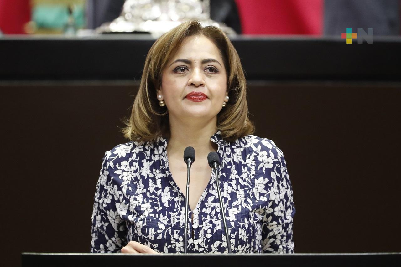 Ana Lilia Herrera señala necesidad de implementar protocolo nacional para protección de infantes víctimas de violencia