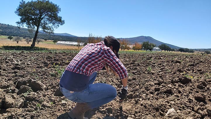En Veracruz, mínimo el rezago de trámites en proceso en la Procuraduría Agraria