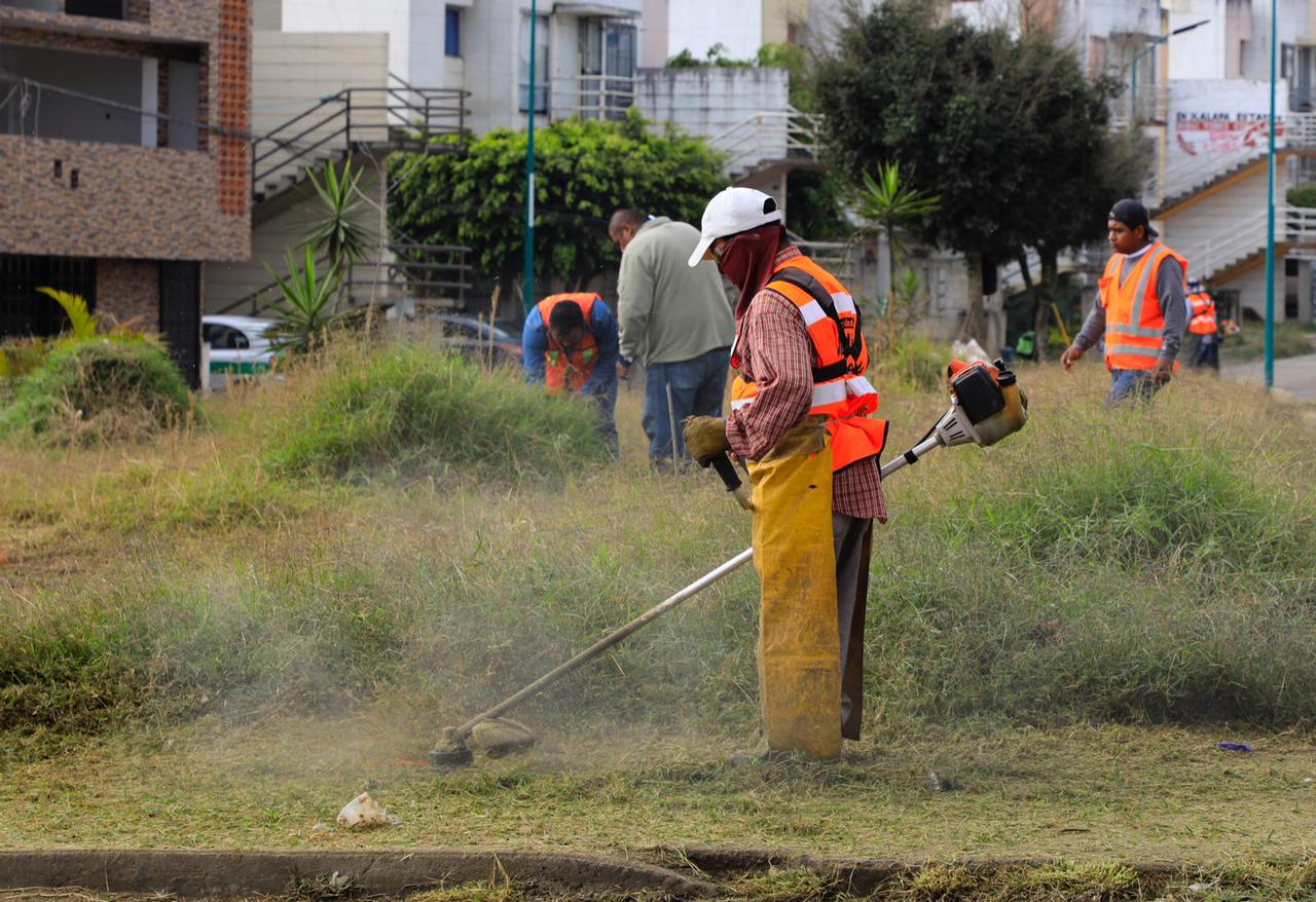 Realizan jornada de limpieza comunitaria en Lomas de Santa Fe de Xalapa