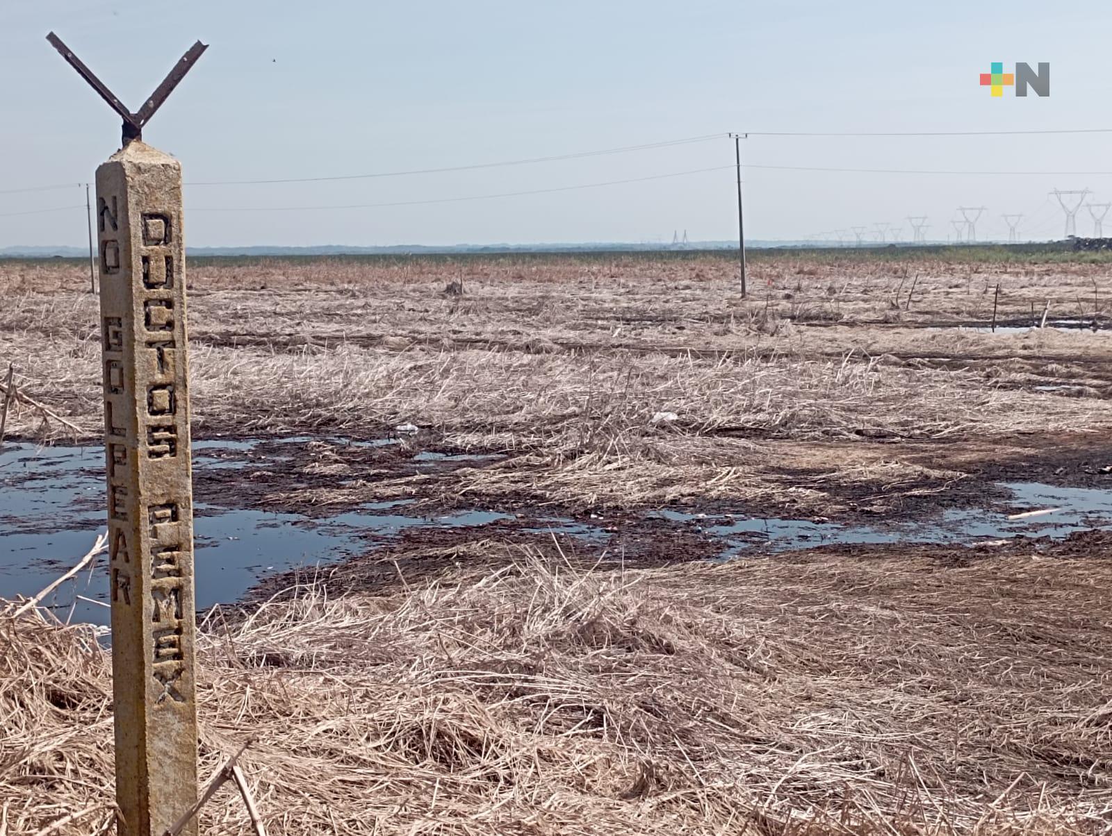 Pemex está reparando amoniaducto en carretera Minatitlán-Coatzacoalcos