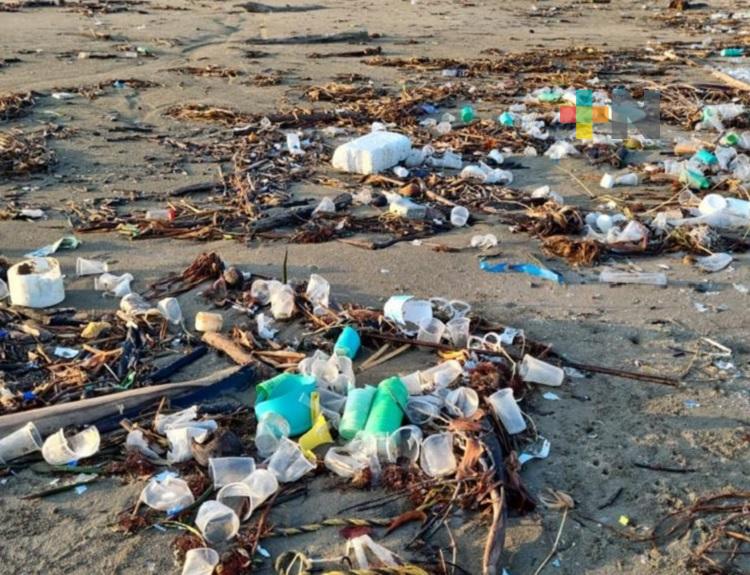 Realizarán jornada de limpieza en playa de Coatzacoalcos