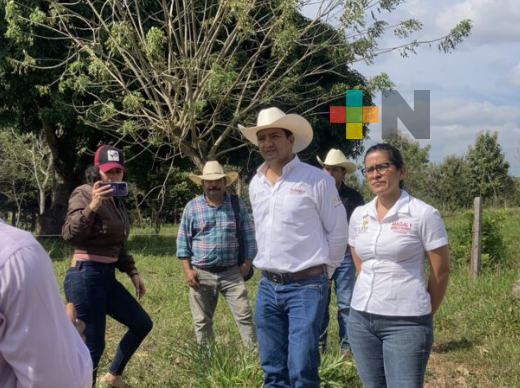 Avanza Veracruz hacia una ganadería sostenible y amigable con el medio ambiente: Magaly Armenta