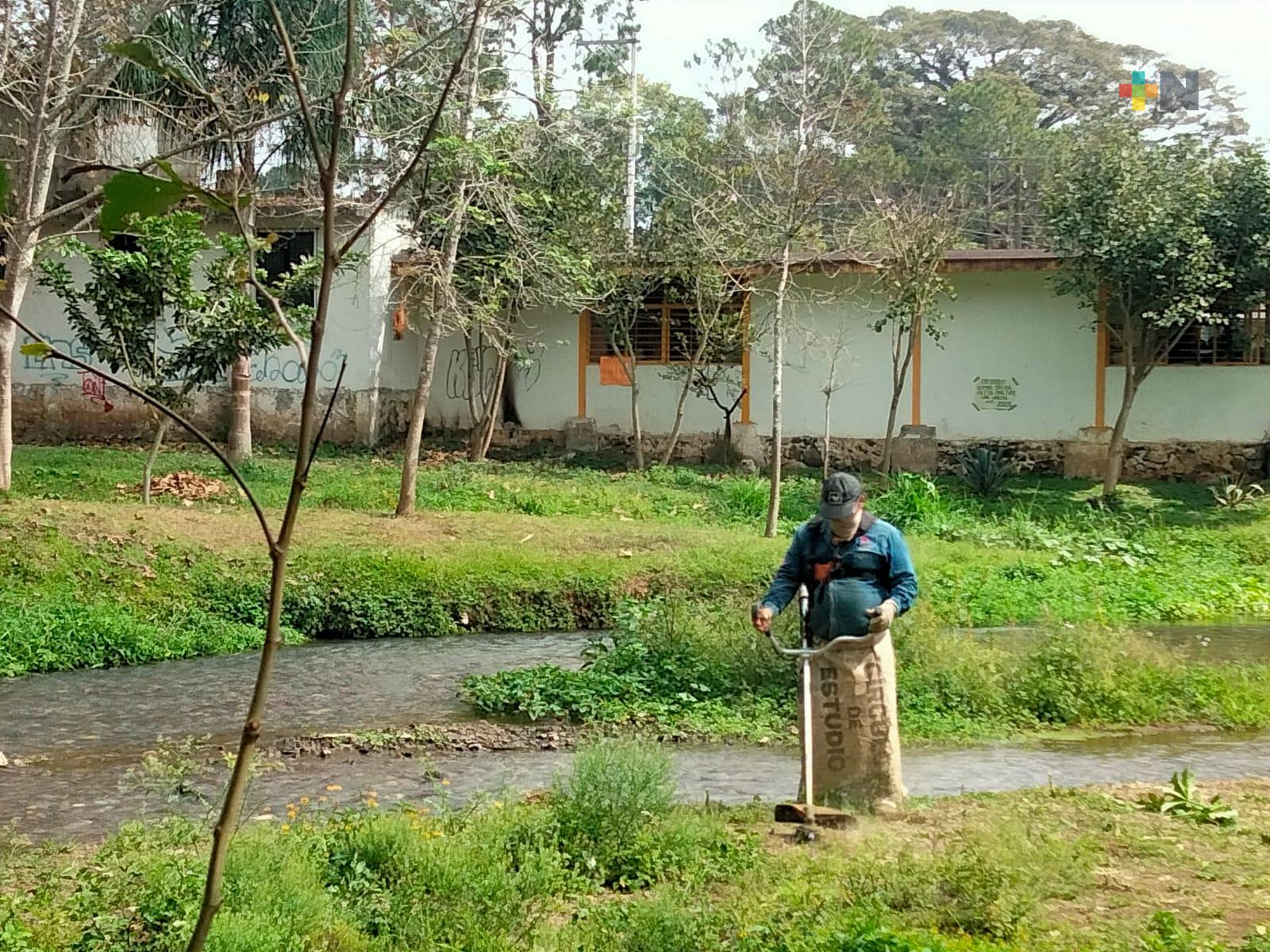 Habitantes de El Castillo, en Xalapa, trabajan para proteger sus manantiales