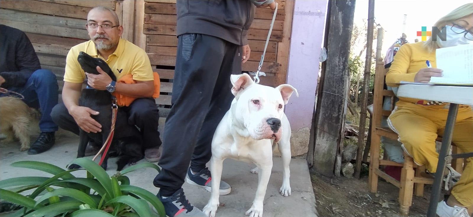 Realizan primera jornada de esterilización gratuita para perros y gatos