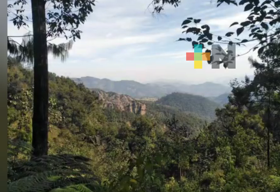 Falta agua potable en Huayacocotla y Zacualpan por disminución de niveles en presas y manantiales