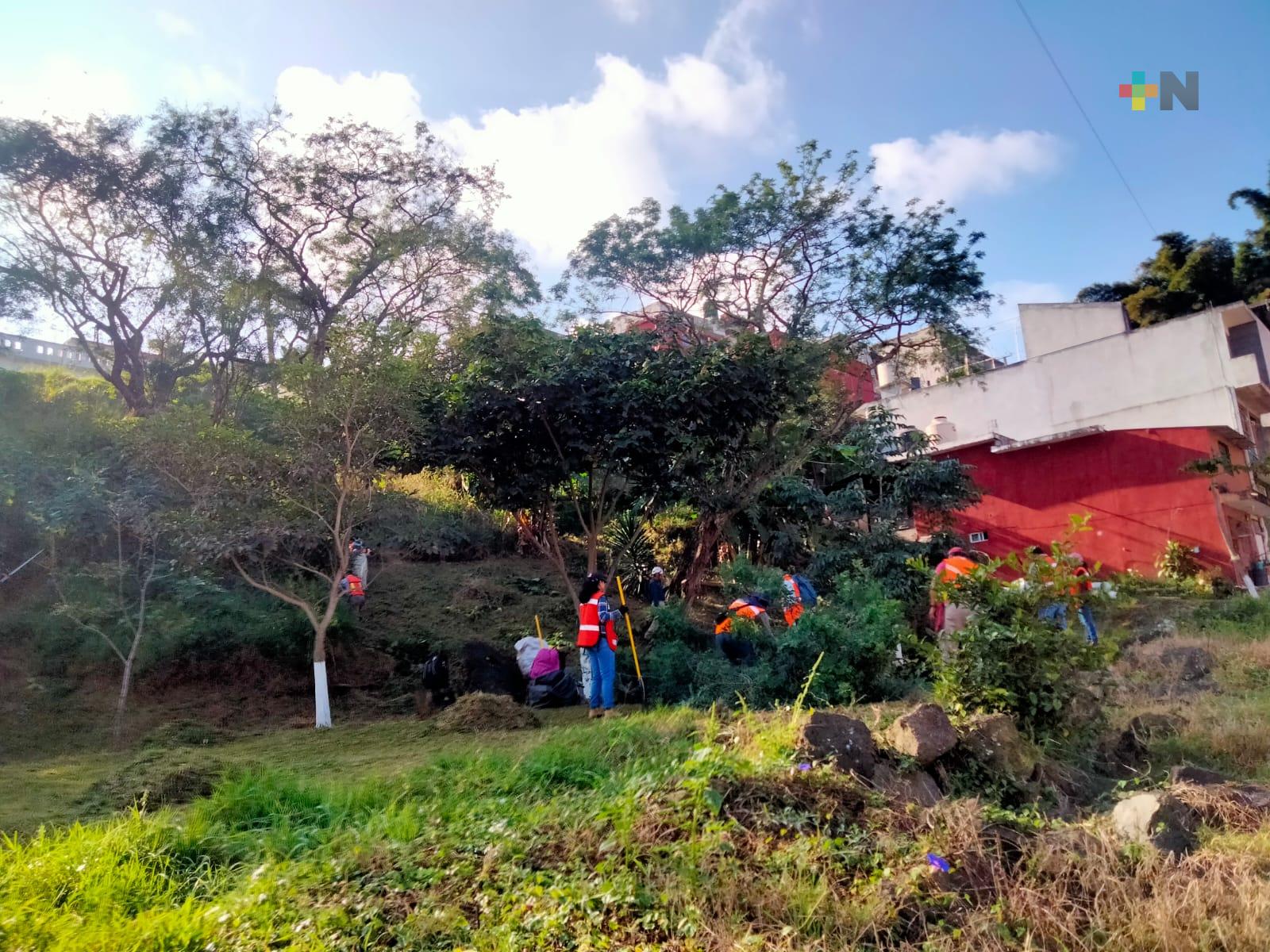 Continúan jornadas de mantenimiento de áreas verdes en Xalapa