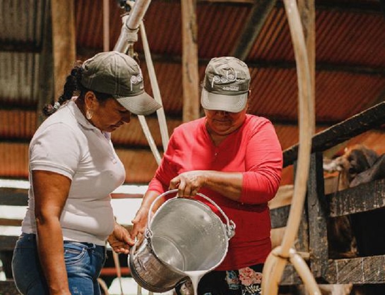 Luchar contra hambre y desigualdad pondrá América Latina a la vanguardia agrícola