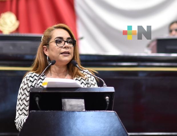 Una recaudación eficiente del impuesto predial, plantea diputada