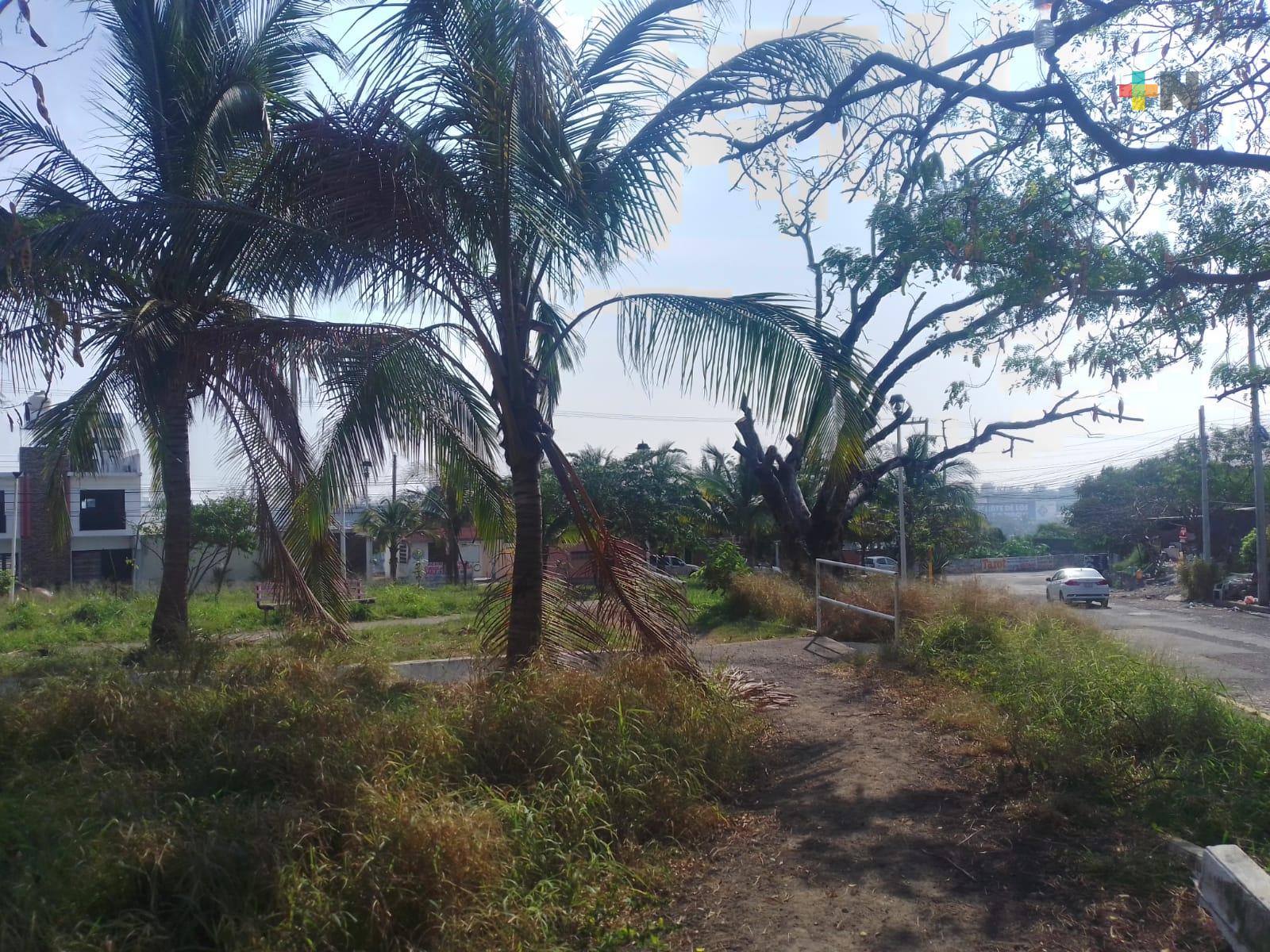 Abandono de parque en puerto de Veracruz propicia delitos recurrentes