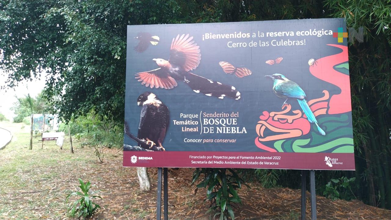 Sedema inaugura en Coatepec instalaciones de proyecto para preservar bosque de niebla