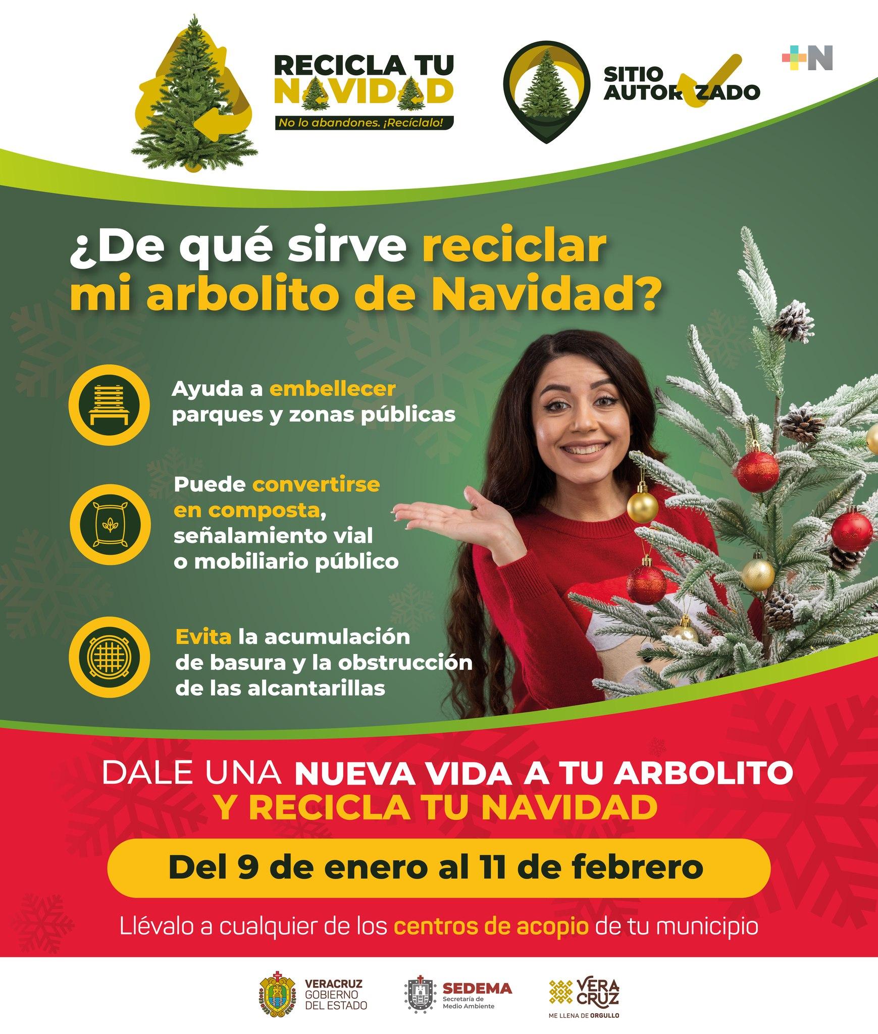 Arranca en Veracruz el programa «Recicla tu Navidad»
