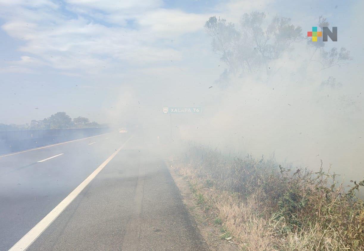 Se registra incendio de pastizal en libramiento de Cardel: SPC