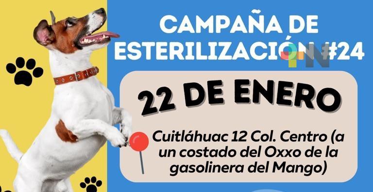 Realizarán campaña de esterilización de mascotas en Coatzacoalcos