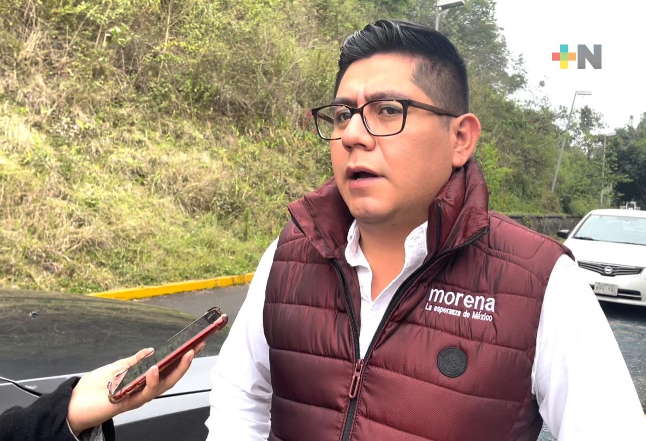 En PVEM varios andan «confundidos», que esperen al proceso interno de Morena: Esteban Ramírez