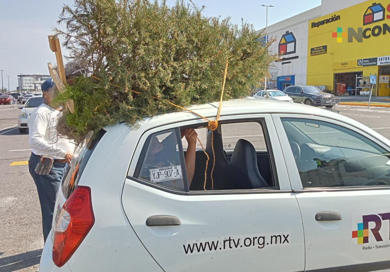 RTV Delegación Veracruz pone ejemplo en programa Recicla tu Navidad