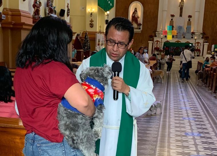 Realizan bendición de mascotas en Xalapa; persiste el abandono