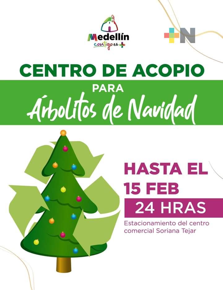 Centro de acopio de árboles de Navidad en Medellín abierto hasta el 15 de febrero