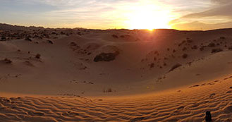 Barnices del desierto mexicano pueden ser análogos para búsqueda de vida en Marte
