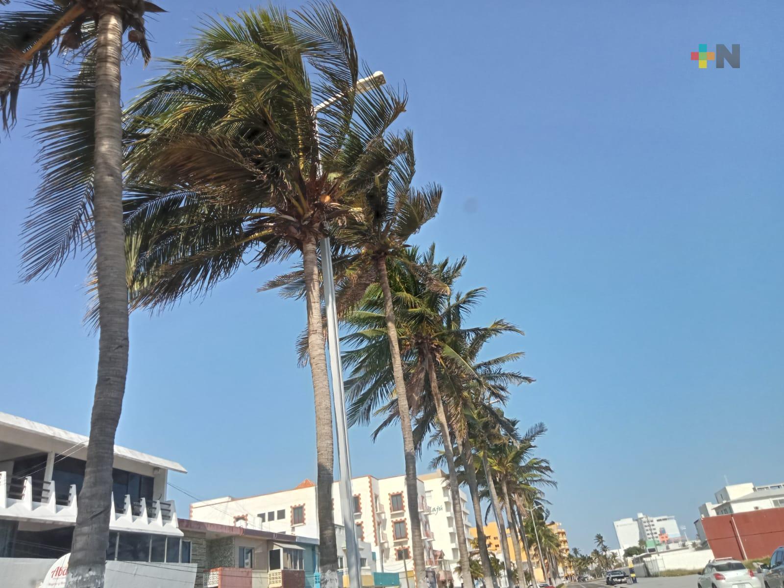 Estiman rachas de hasta 100 kilómetros por hora en Veracruz