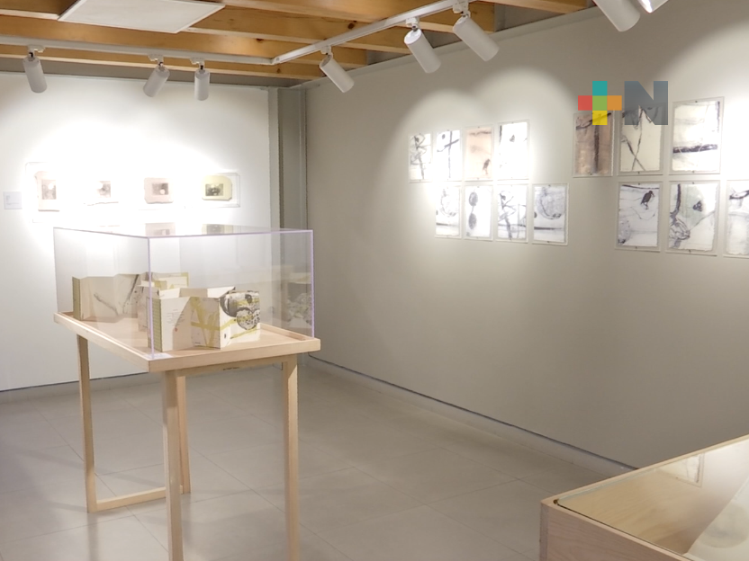 Invitan a visitar la exposición Contemplación Silente de Nunik Sauret