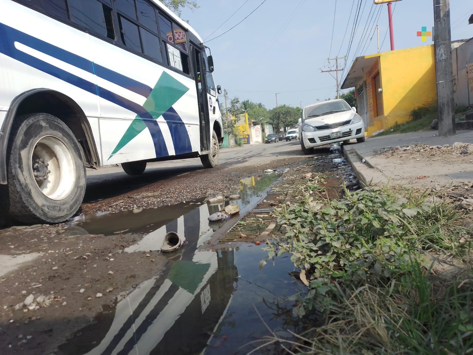 Desde hace años, aguas negras afectan a la avenida Madre Selva de Veracruz