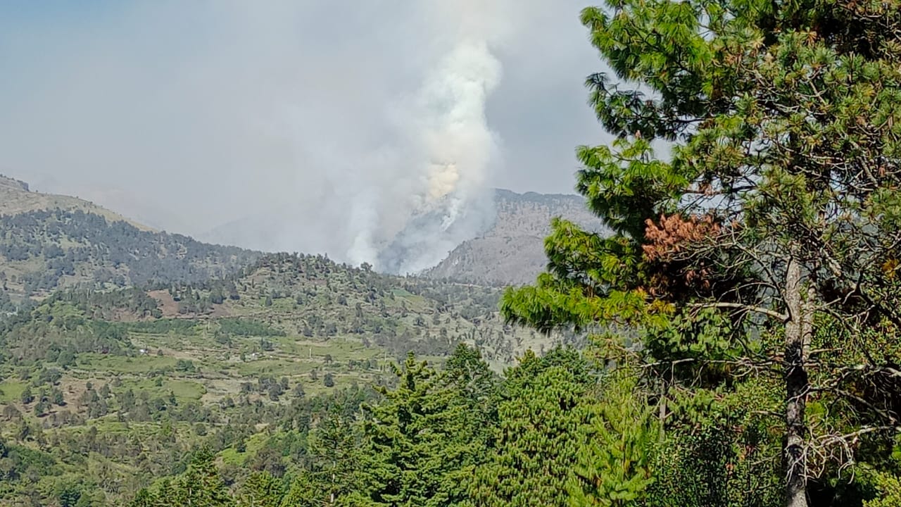 Incendio forestal de La Perla y Calcahualco con 60 por ciento de control: SPC