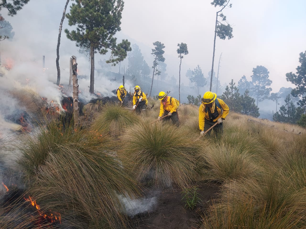 Reportan 50% de control de incendio forestal en Parque Nacional Pico de Orizaba