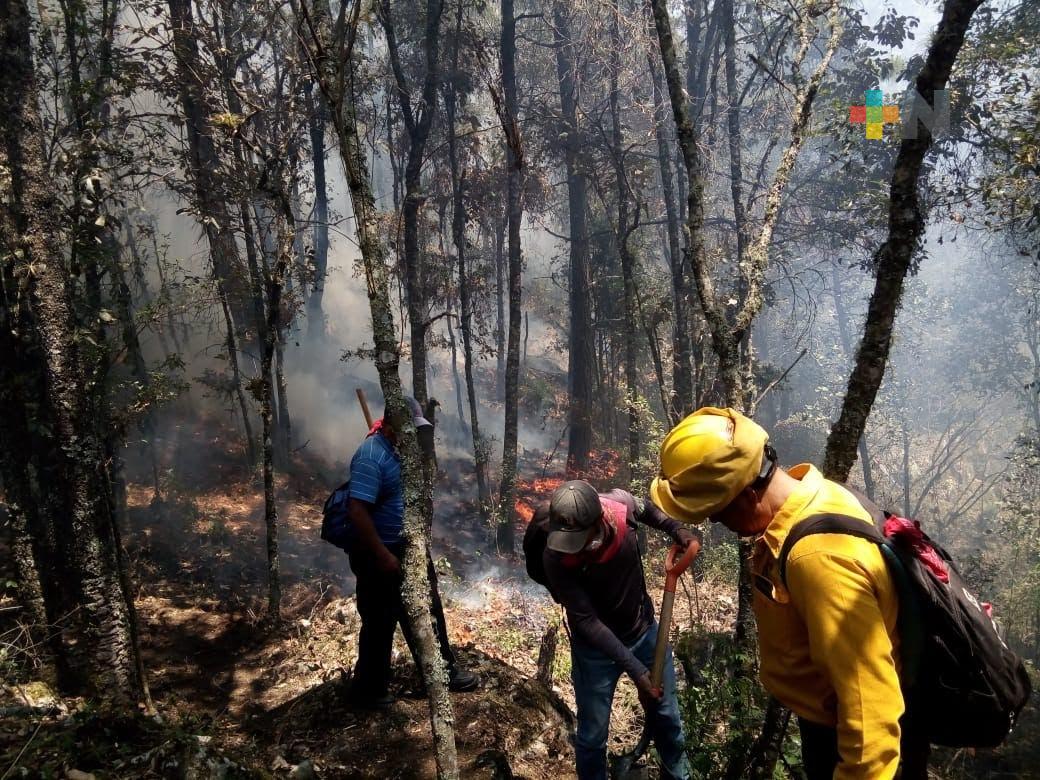 Menos incendios forestales y menor superficie afectada en comparación al 2024 en Veracruz