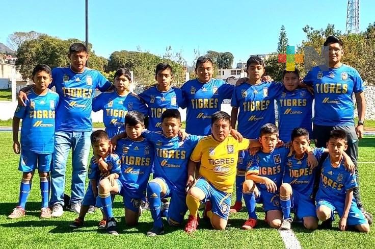 Tigres de Acatlán conquista torneo infantil de Naolinco