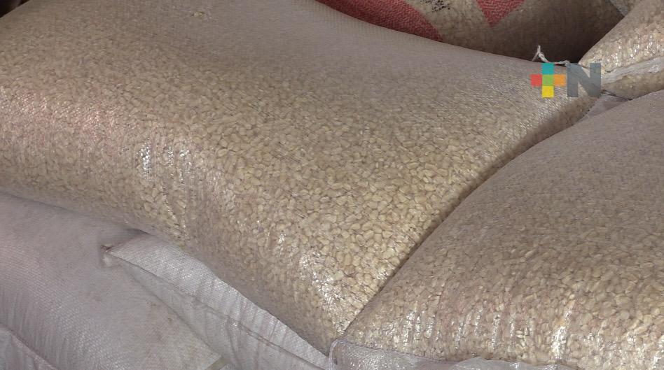 Arancel a exportaciones de maíz garantiza abasto y estabilidad en precios de masa y tortilla