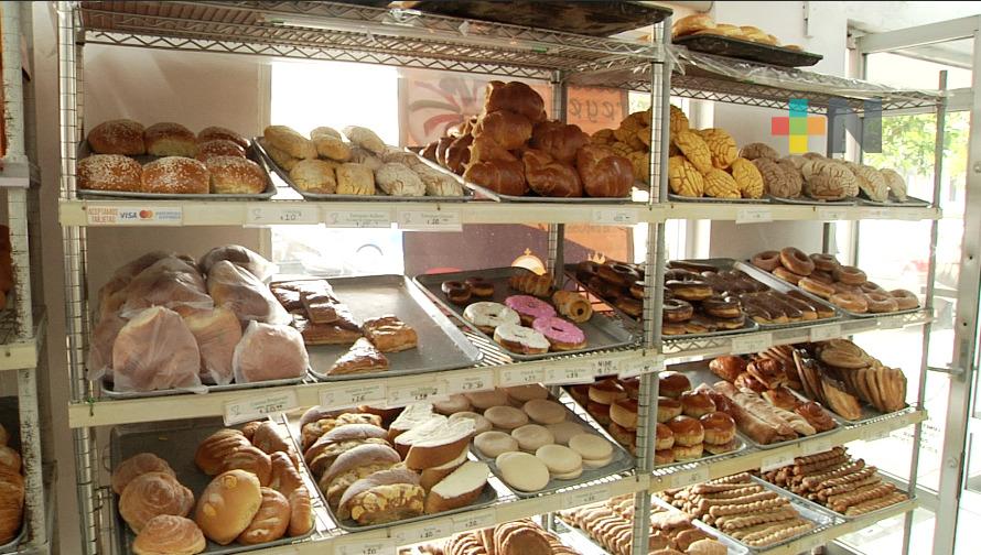 Con trabajo conjunto, DIF Emiliano Zapata y estatal apoyan microempresas y mejora de vivienda