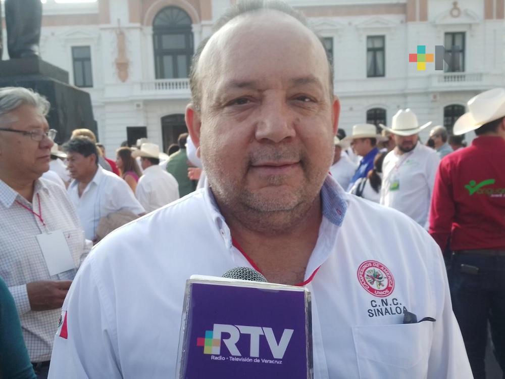 Campesinos de Sinaloa trabajan al margen de asuntos criminales