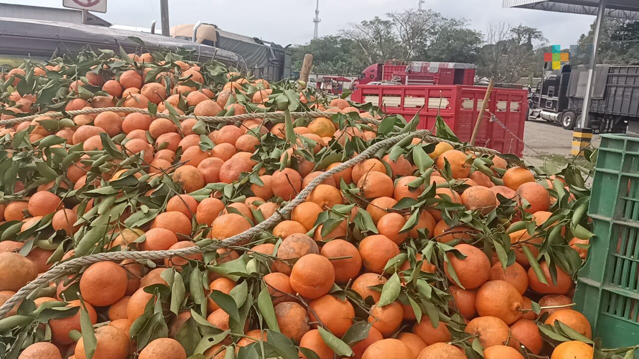 En inicio de 2023, cítricos dulces registran buen precio en región de Martínez