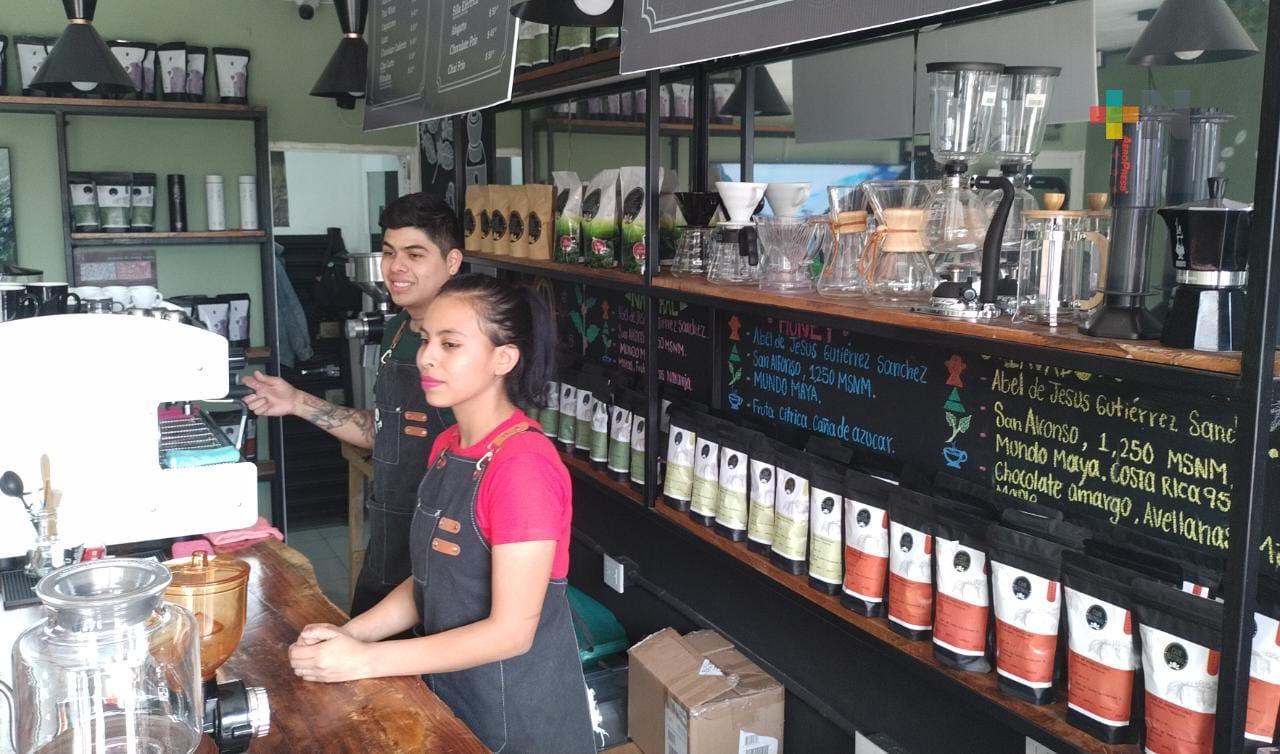 Pequeños productores de Coatepec producen café de excelente calidad