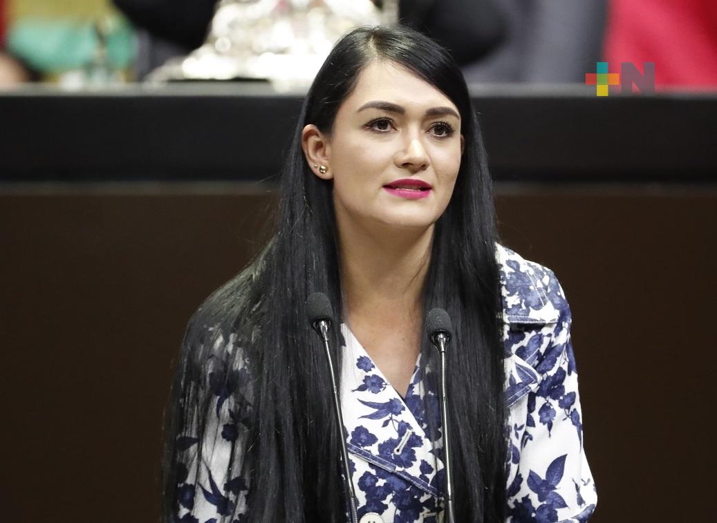 Reforma a la Ley sobre delitos de imprenta no busca atentar contra la libre expresión: Bennelly Hernández