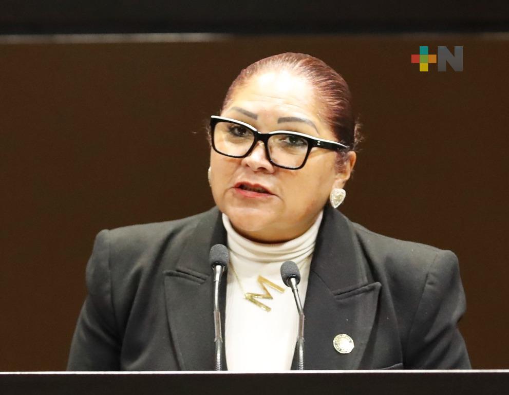 Felipe Calderón debe rendir cuentas ante la justicia: María Rosete