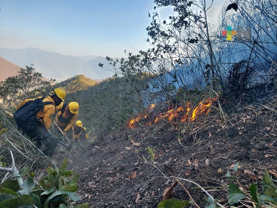 Atiende PC Estatal incendio forestal en Maltrata