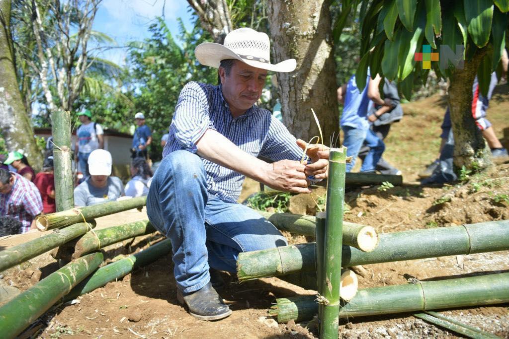 Gobernador Cuitláhuac García encabeza Tequio Agrícola, en Catemaco