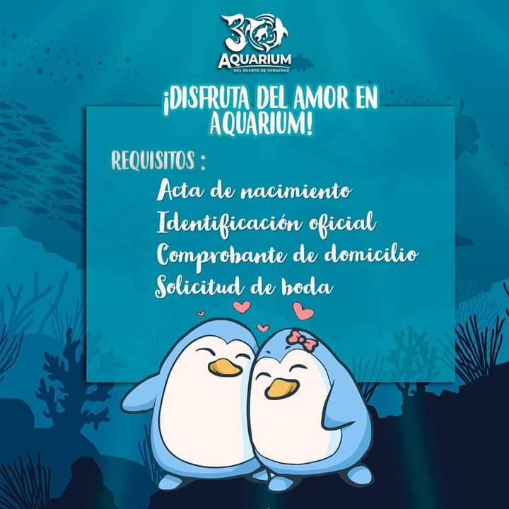 Más de 150 parejas inscritas para casarse en Plaza Acuario de Veracruz