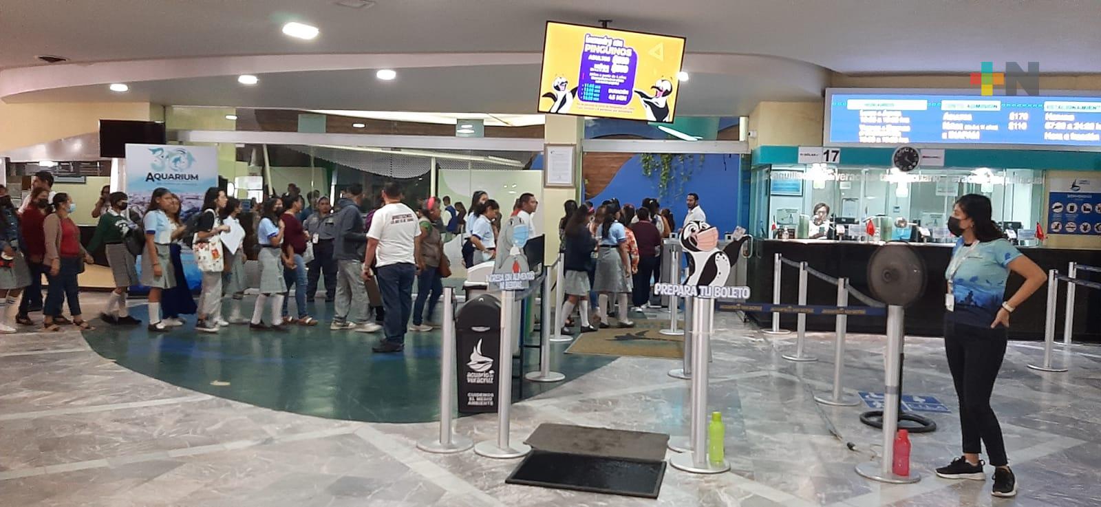 Ofrecerán pequeño concierto en plaza Aquarium el Día de las Madres