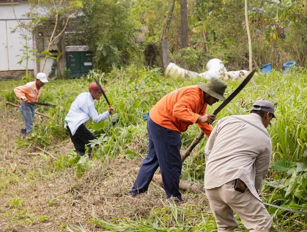 Ayuntamiento de Minatitlán lleva a cabo limpieza de canales a cielo abierto